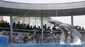 Umitamago Aquarium